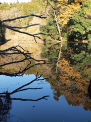 静かな水面