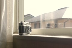 demiも日向ぼっこ