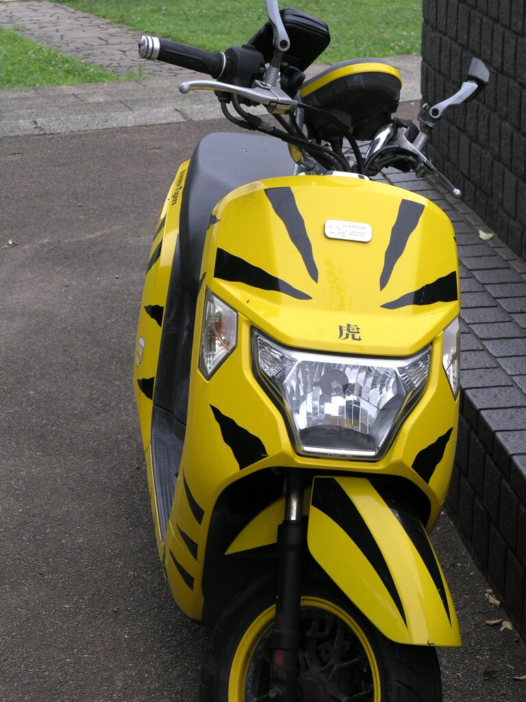 街の寸景  虎