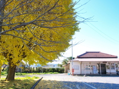 小湊鉄道・秋の色Ⅰ