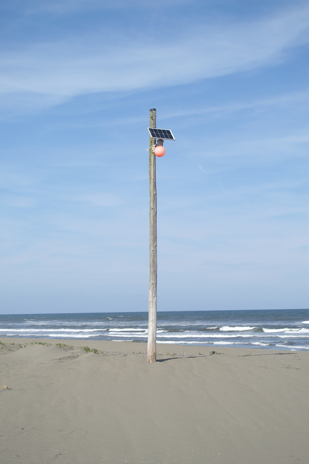 立たされ坊主(デジタル)