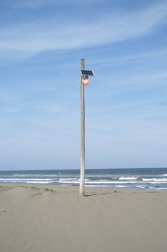 立たされ坊主(デジタル)