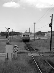 上総路を行く