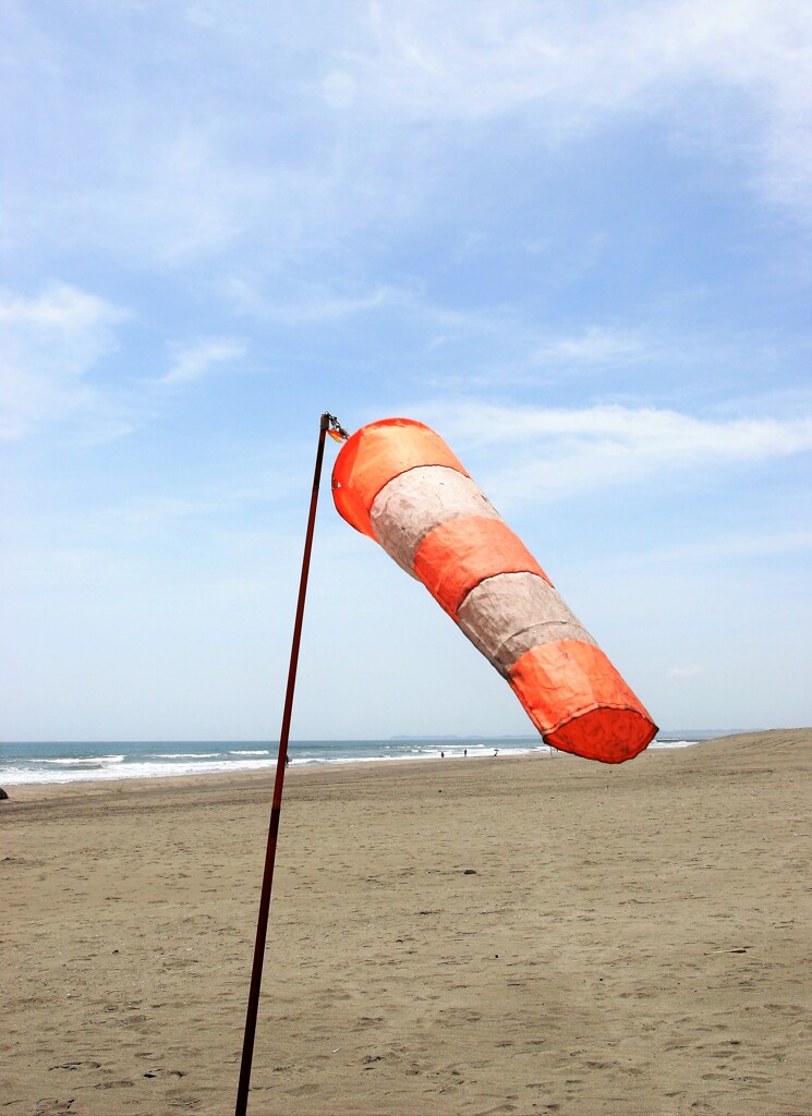 東南東の風