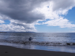 富津の海