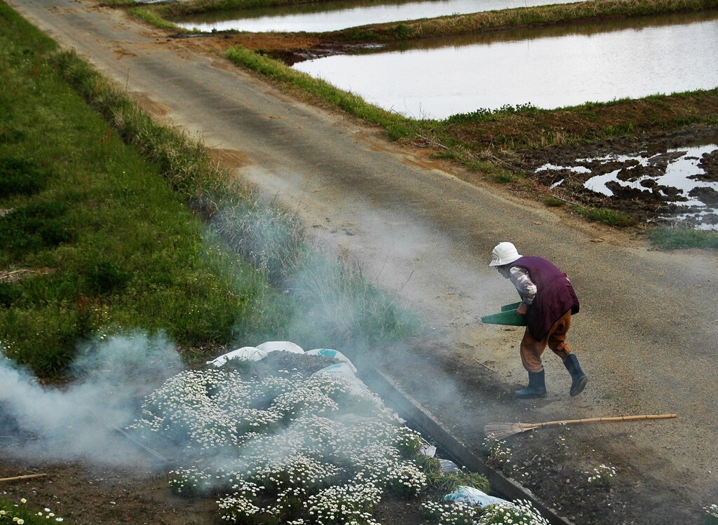 働くおばあちゃん
