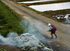 働くおばあちゃん
