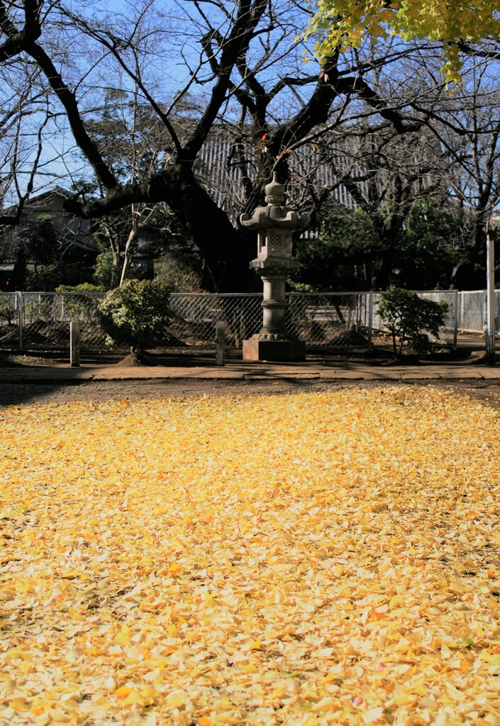 千葉寺にて