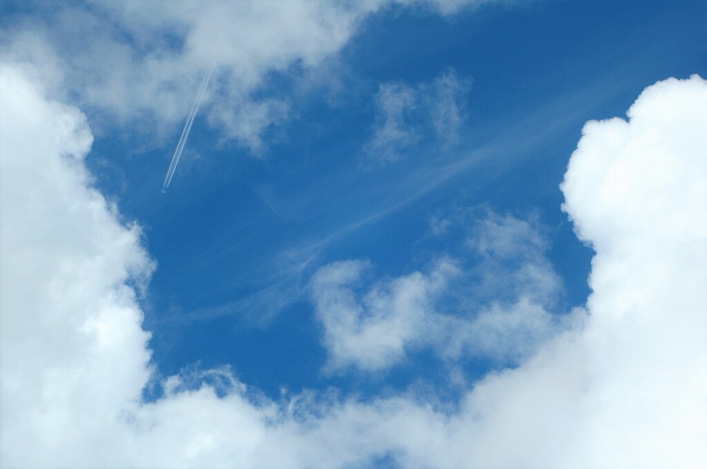 夏の空を飛ぶ