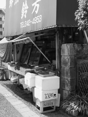 街角モノクロ散歩