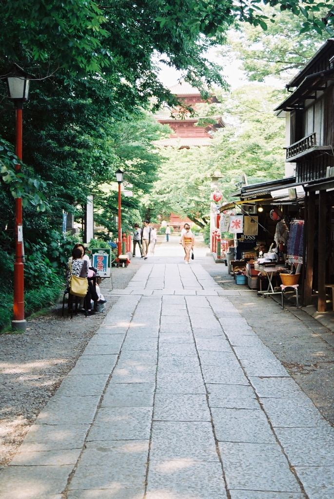 ゆるやかな時の流れ