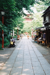 ゆるやかな時の流れ