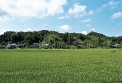 里山集落・盆帰り