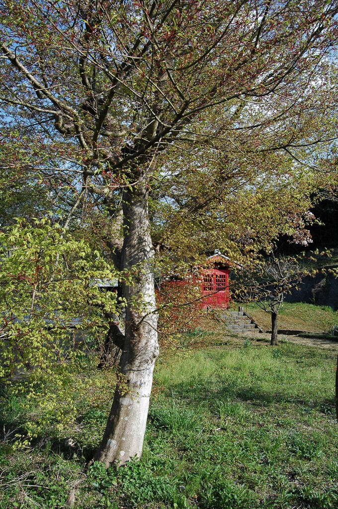 里山の小さな天満宮