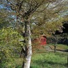 里山の小さな天満宮