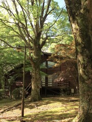 気分は避暑地だけど…