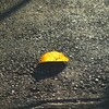 冬のヒカリの中で