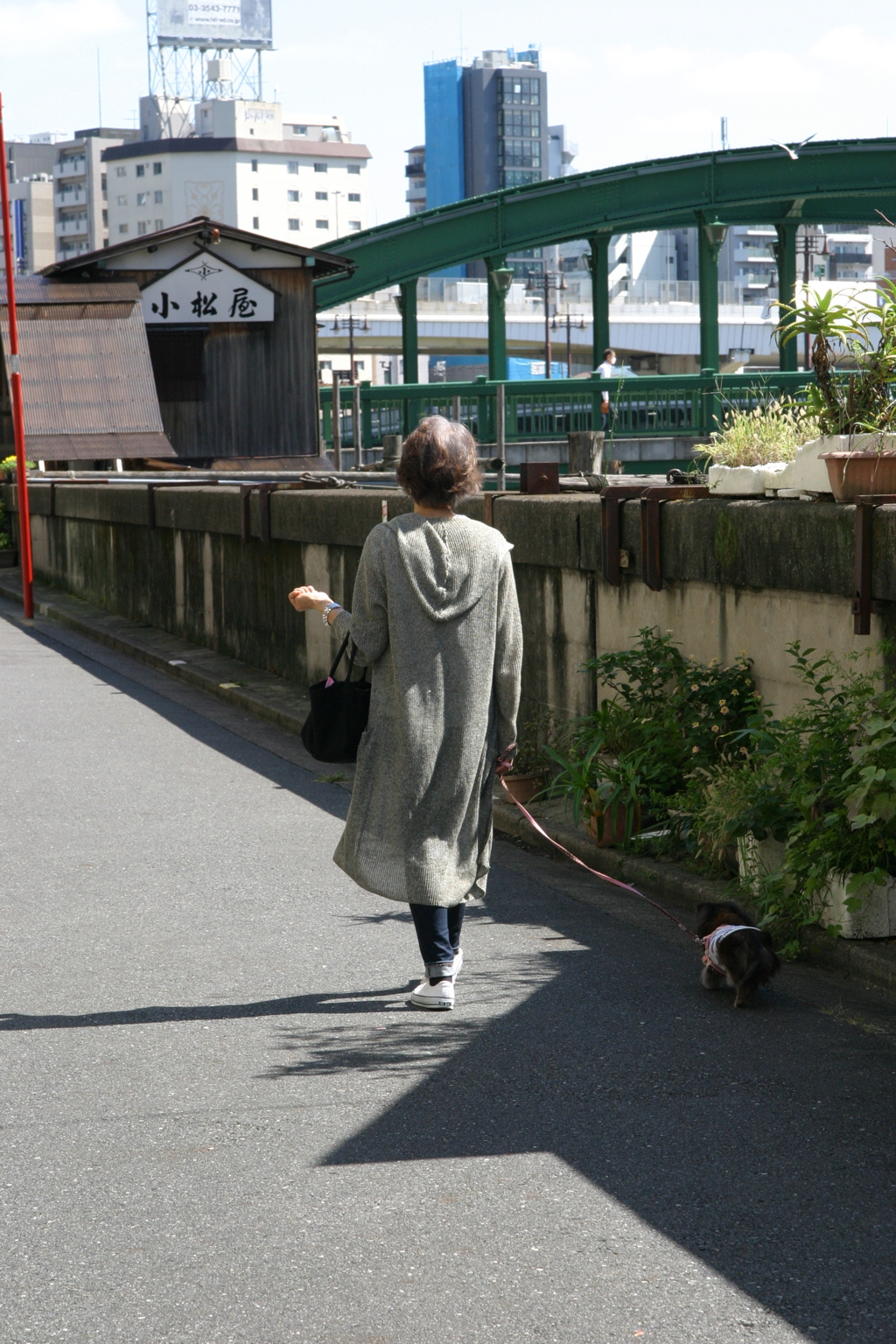 いつもの散歩コース