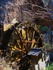 深大寺巡り