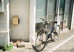 デミと街中散歩(フィルム)
