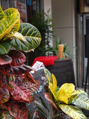 代々木八幡にてⅠ