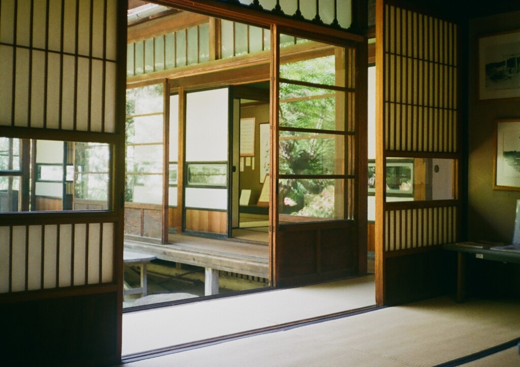 デミと街中散歩(フイルム)