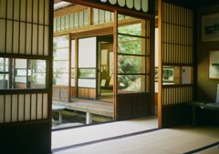 デミと街中散歩(フイルム)