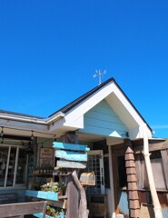 白里海岸通り