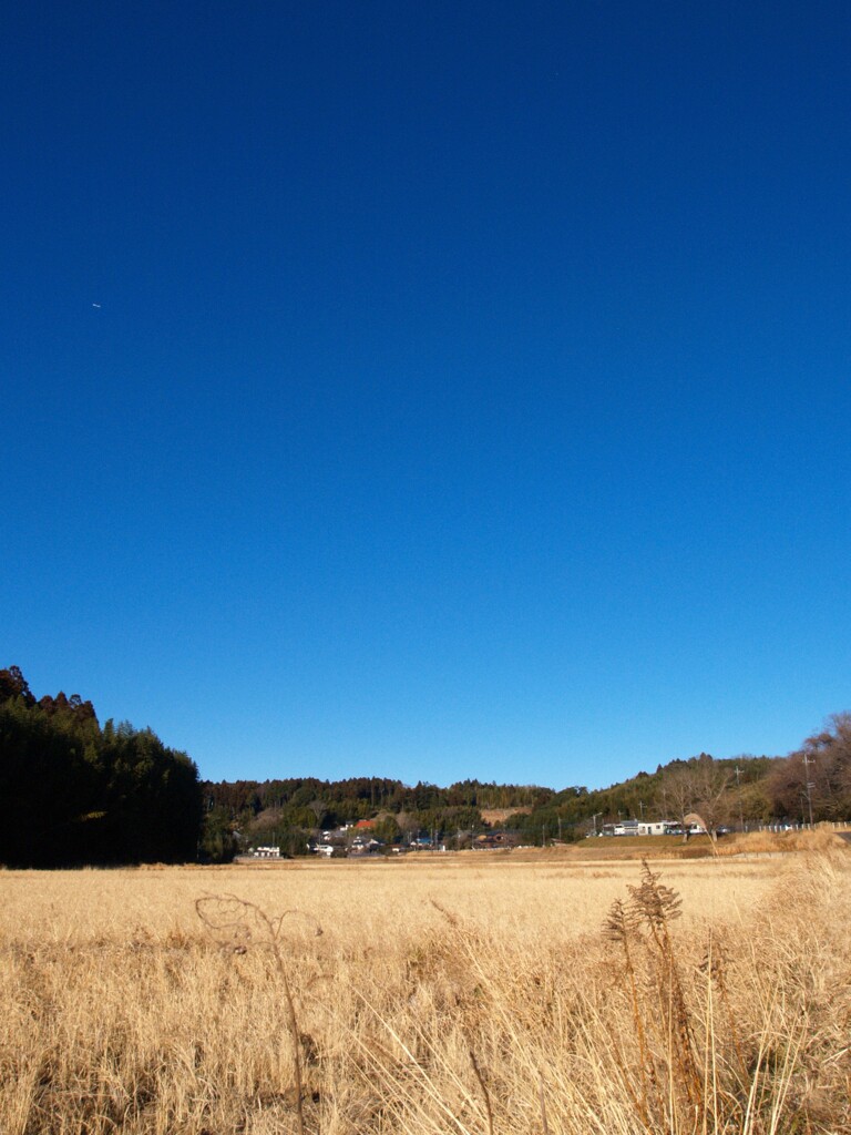 冬来る