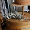 御茶ノ水・万世橋界隈16