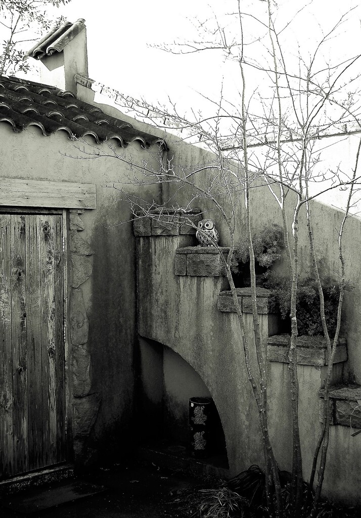 ふくろうが棲む庭