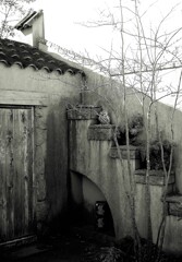 ふくろうが棲む庭