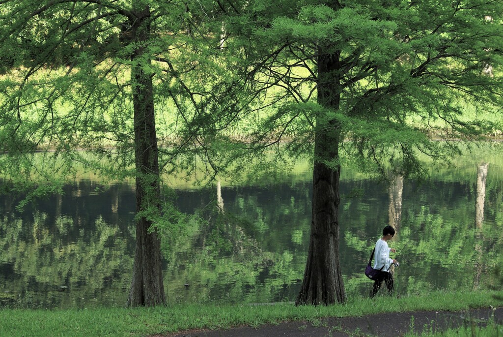 初夏の水辺
