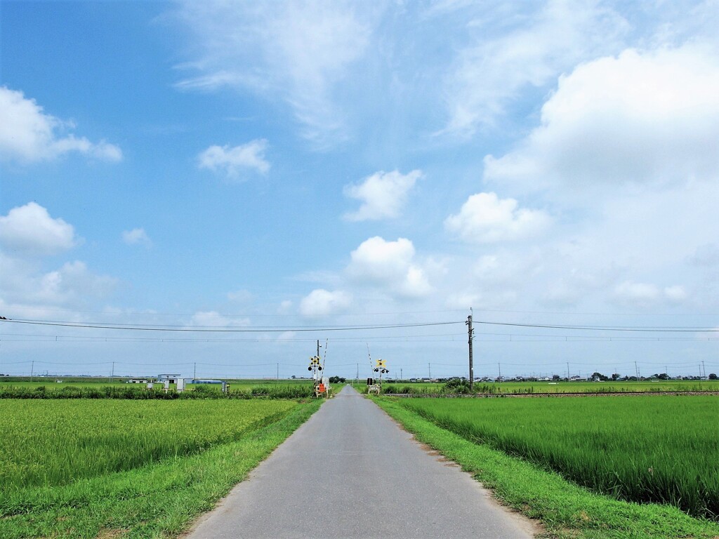あの日あの時    夏の踏み切り