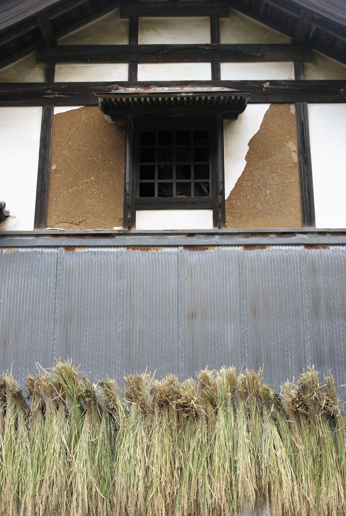 稲と蔵