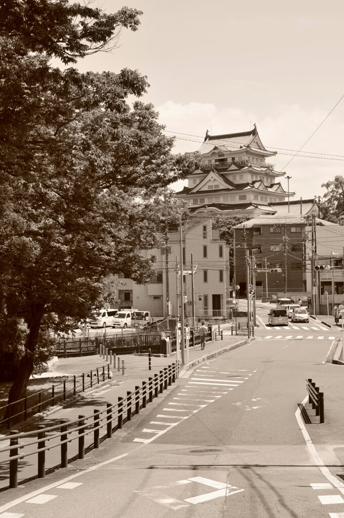 郷土博物館の見える通り