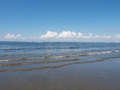 東京湾夏景色
