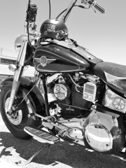 HARLEY