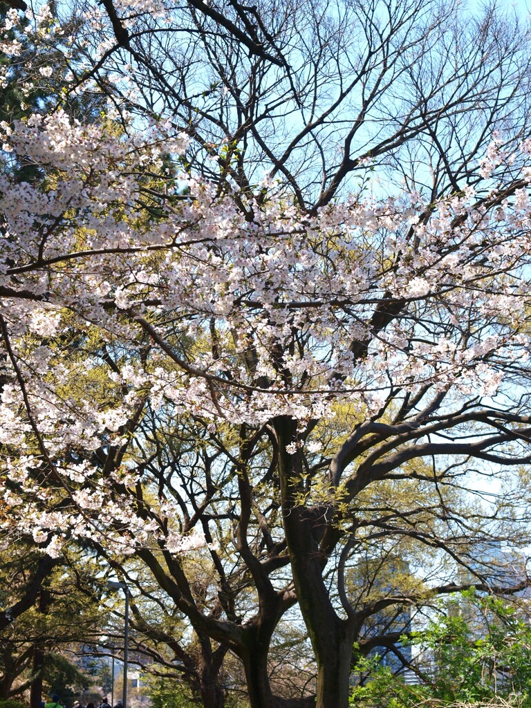 そして季節は次へと