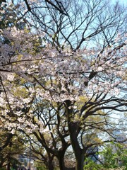 そして季節は次へと