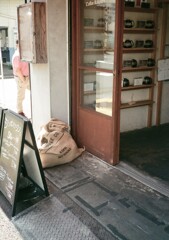 デミと街中散歩(フイルム)