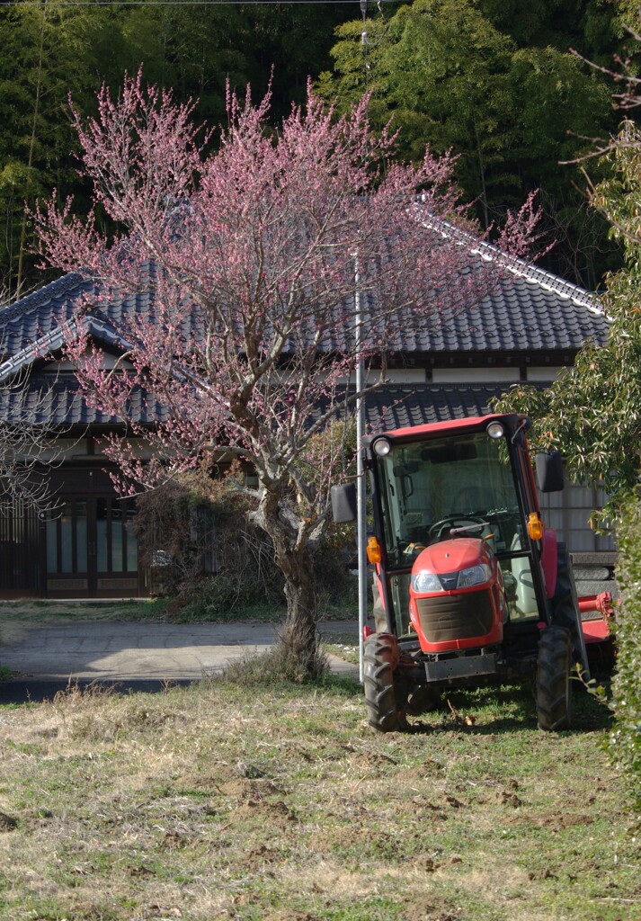 そろそろ畑へ行かなくちゃ