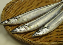 食欲の秋