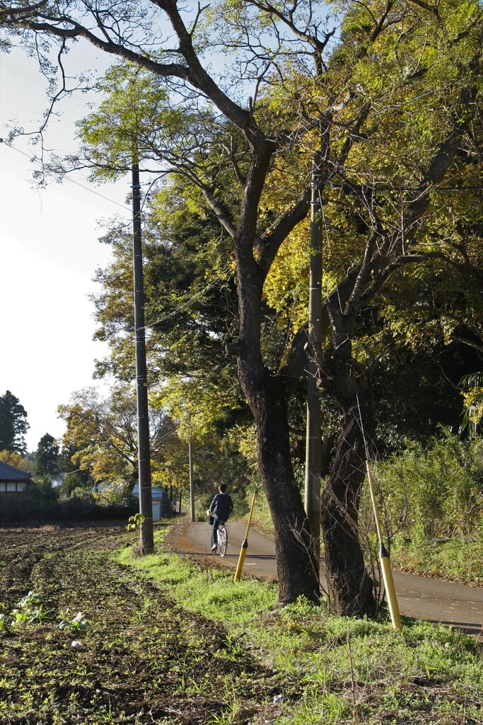 郷愁の田舎道