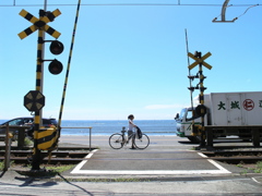 ルート134の夏