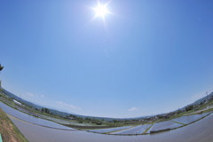 fish eye初挑戦