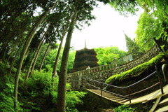国宝八角三重塔　安楽寺①