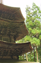国宝八角三重塔　安楽寺③