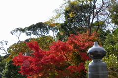 伊勢神宮参拝4