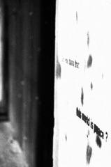 this world is peace?